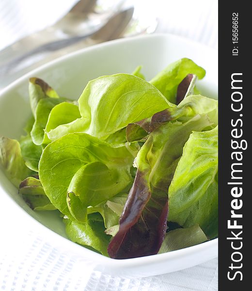 Bowl of lettuce. Bio food