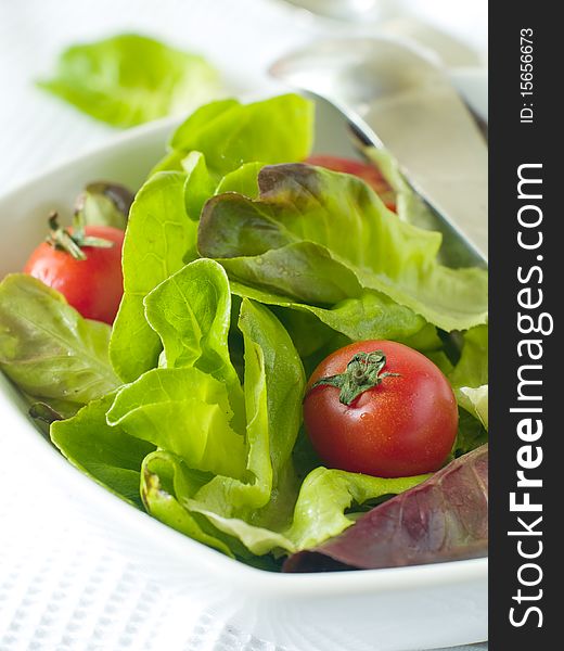 Fresh salad from lettuce and tomatoes