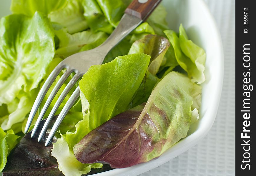 Bowl of lettuce with fork. Bio food