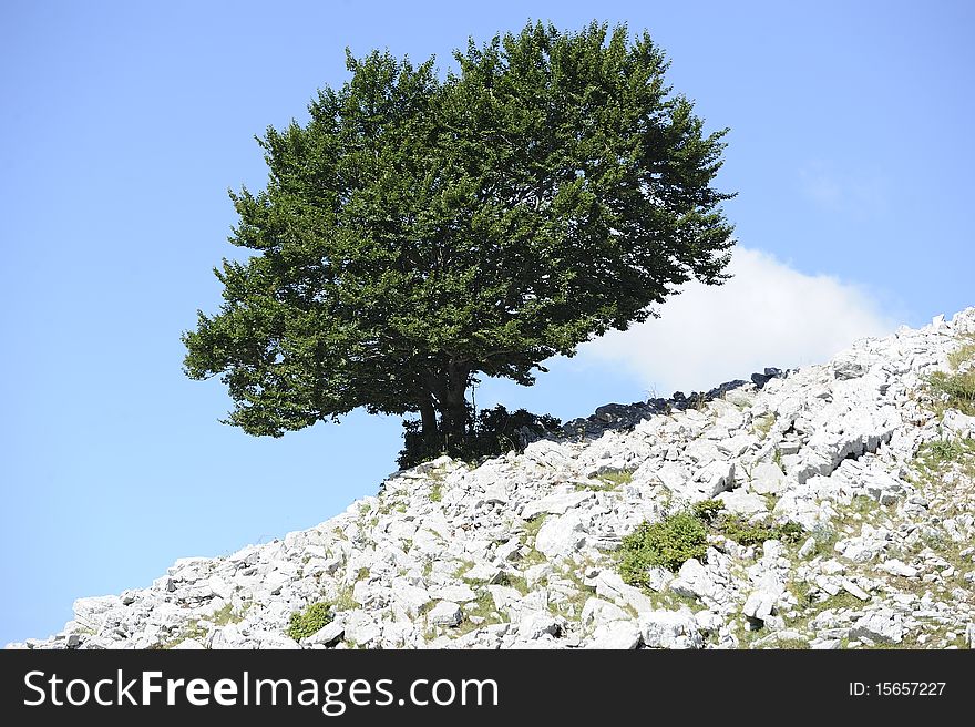 This beech touch the sky. This beech touch the sky