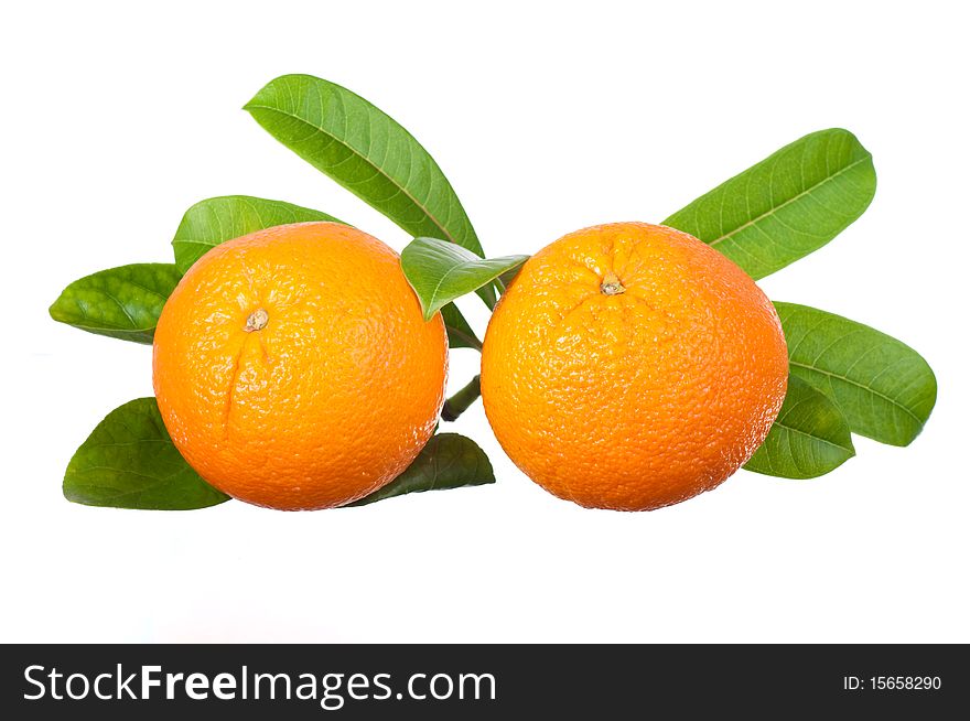 Two oranges isolated on white background