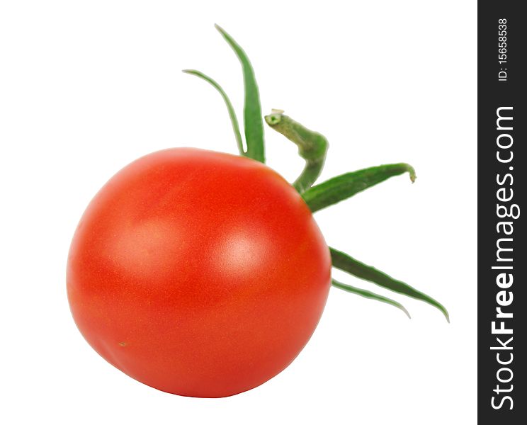 Perfect Ripe Tomato On White