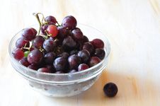 A Vine Is In A Dish Royalty Free Stock Photography A Vine Is In A Dish Royalty Free Stock Photography