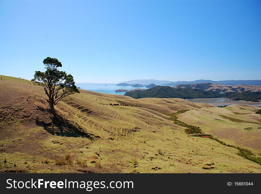 View out to the Pacific from the winding roads of the Coromandel Peninsula, New Zealand
