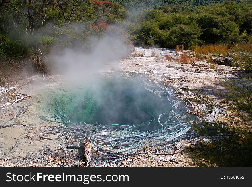 Steam rises from a hot pool in the Turangi Hot Springs, New Zealand