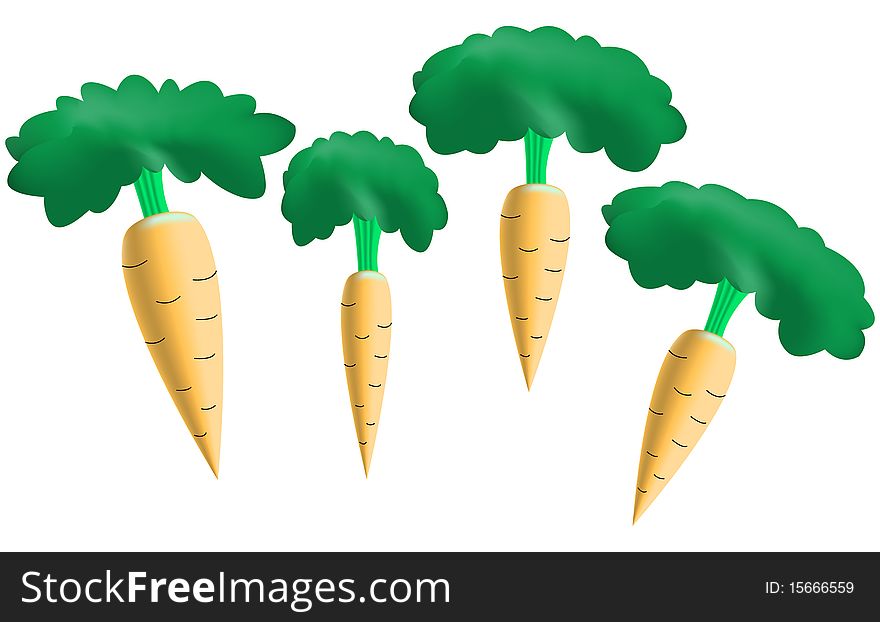 Four carrots isolated on white background