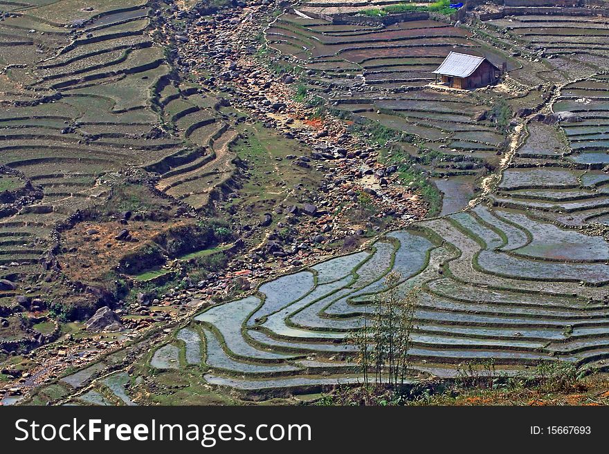 Traditional Ladder Farming, Rice Paddle Fields, with shed in Sapa Vietnam, Horizontal. Traditional Ladder Farming, Rice Paddle Fields, with shed in Sapa Vietnam, Horizontal