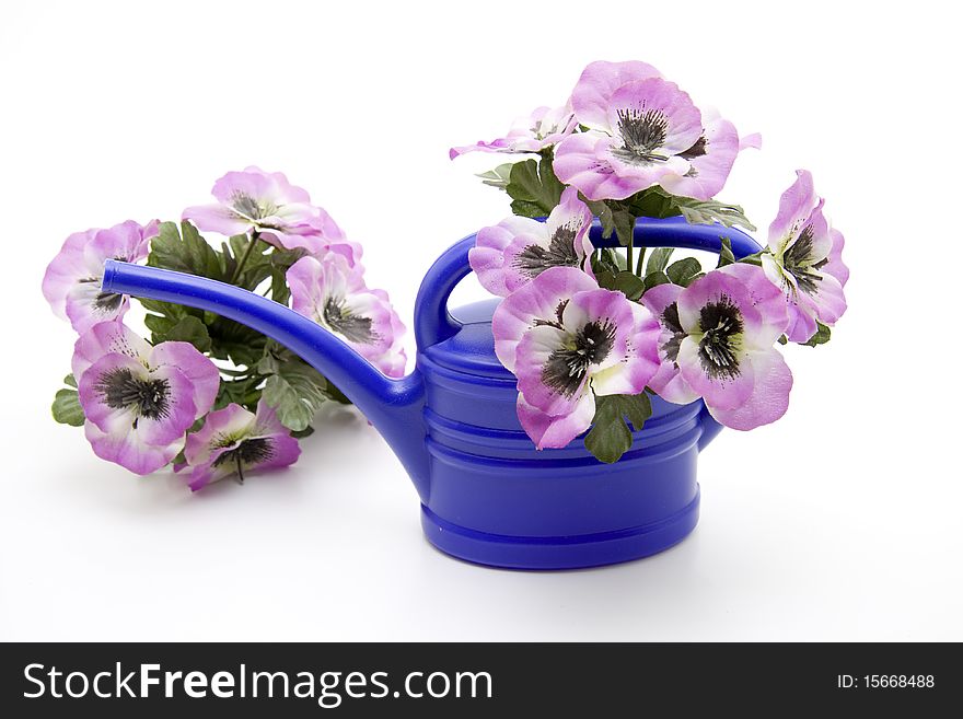 Plastic Watering Can