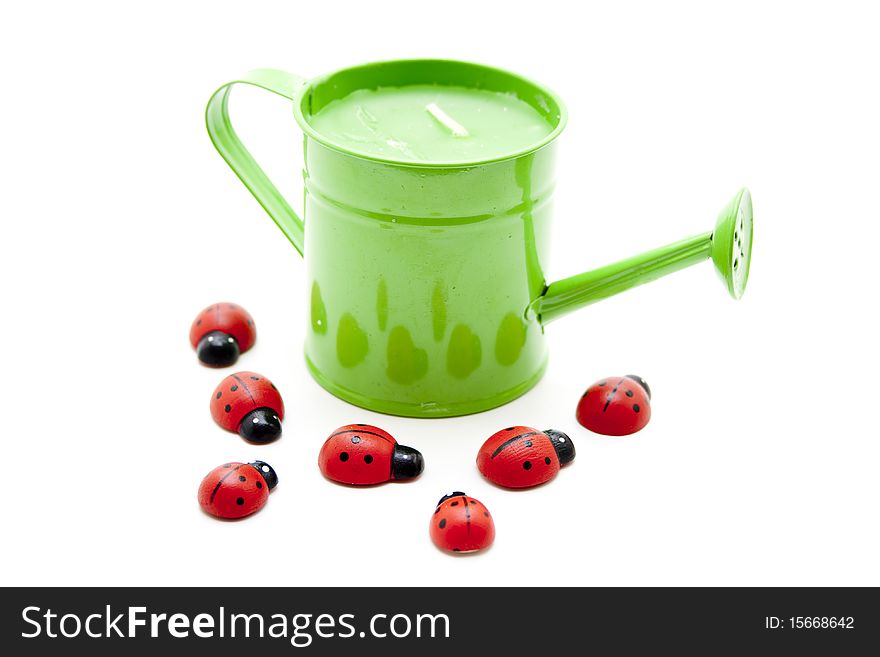 Watering Can With Ladybird