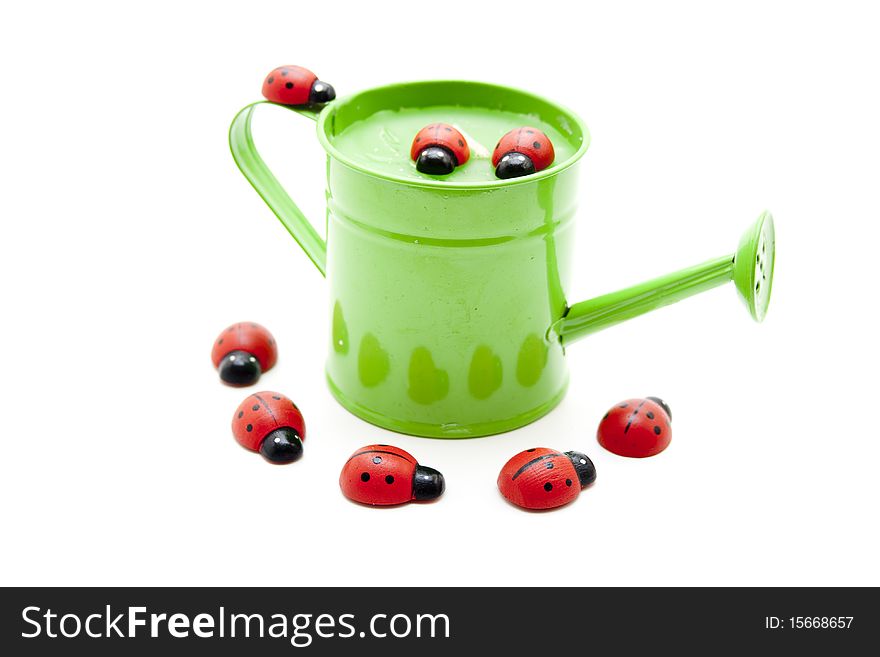 Watering can with ladybird