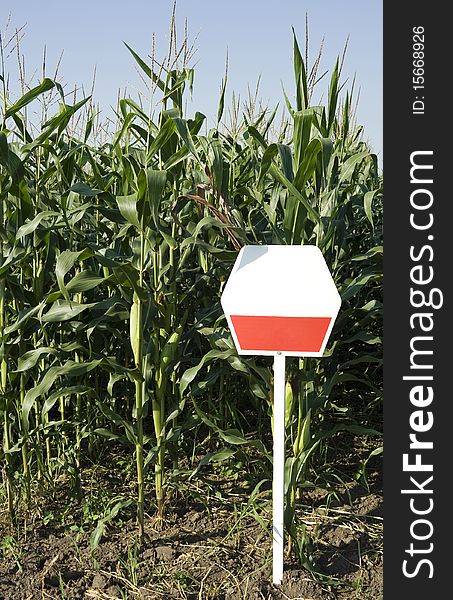 Corn field with signboard