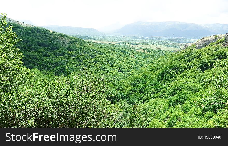 Fine Kind Of Wood Mountains