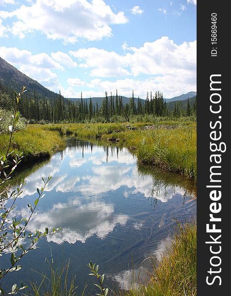 Sky and clouds reflecting on a beaver pond in Bragg Creek, Alberta, Canada. Sky and clouds reflecting on a beaver pond in Bragg Creek, Alberta, Canada.