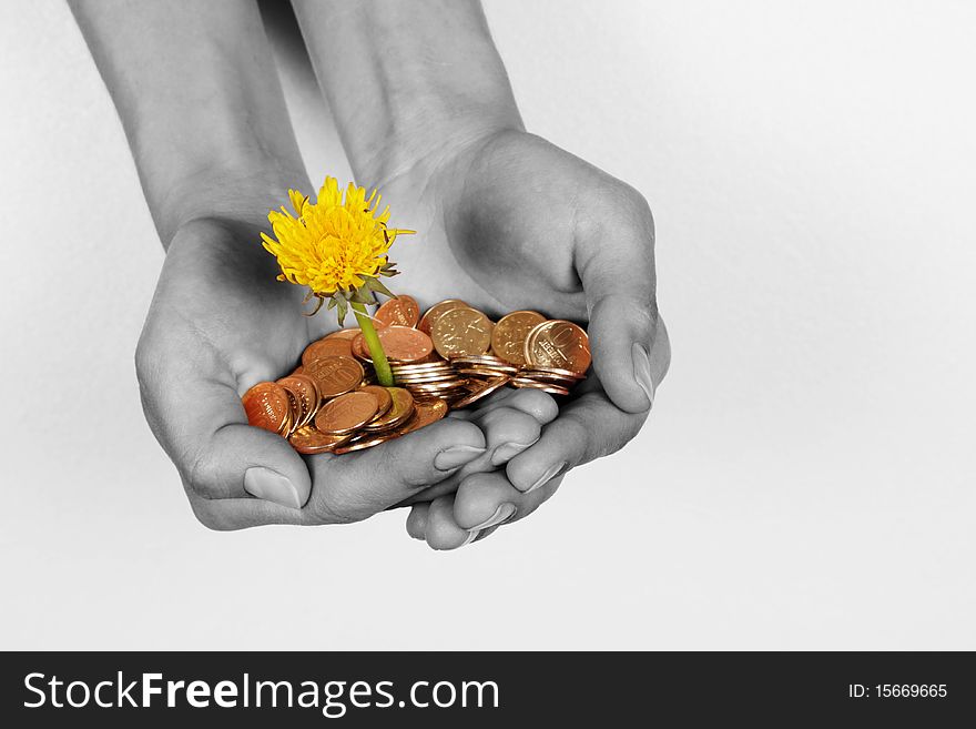 Female Hands With A Flower And Coins