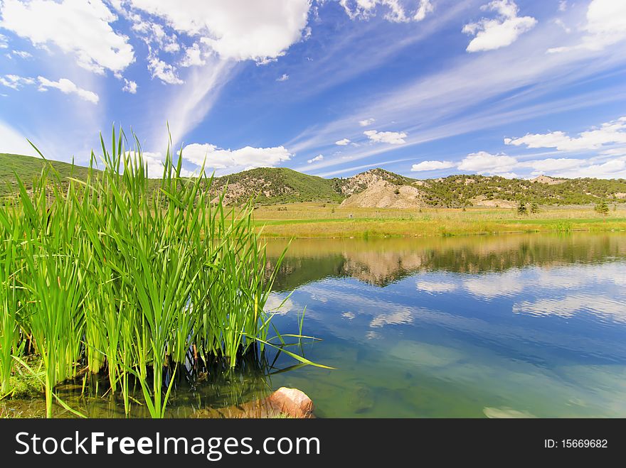 Green golf course in Colorado. Green golf course in Colorado