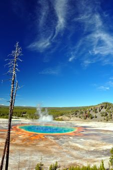 The Grand Prismatic Spring Stock Images The Grand Prismatic Spring Stock Images