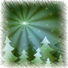 Firs And Snowflakes Royalty Free Stock Photo