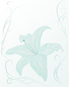 Wedding Style Frame With Tender Lily Royalty Free Stock Photography