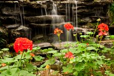 Waterfall And Flower Stock Photo