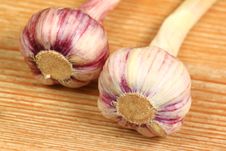 Fresh Garlic Head Stock Image Fresh Garlic Head Stock Image