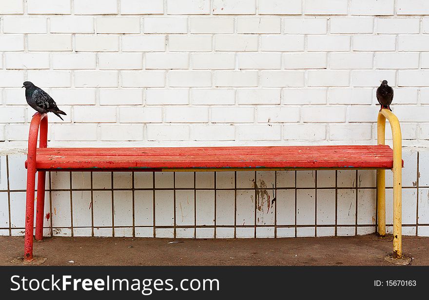 Pigeons On The Bench