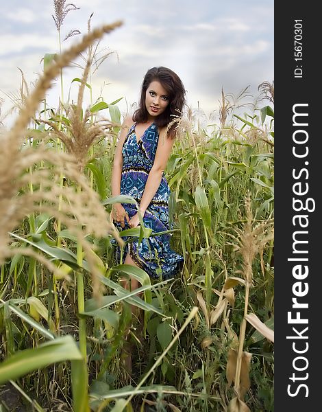 Young beautiful woman in corn field