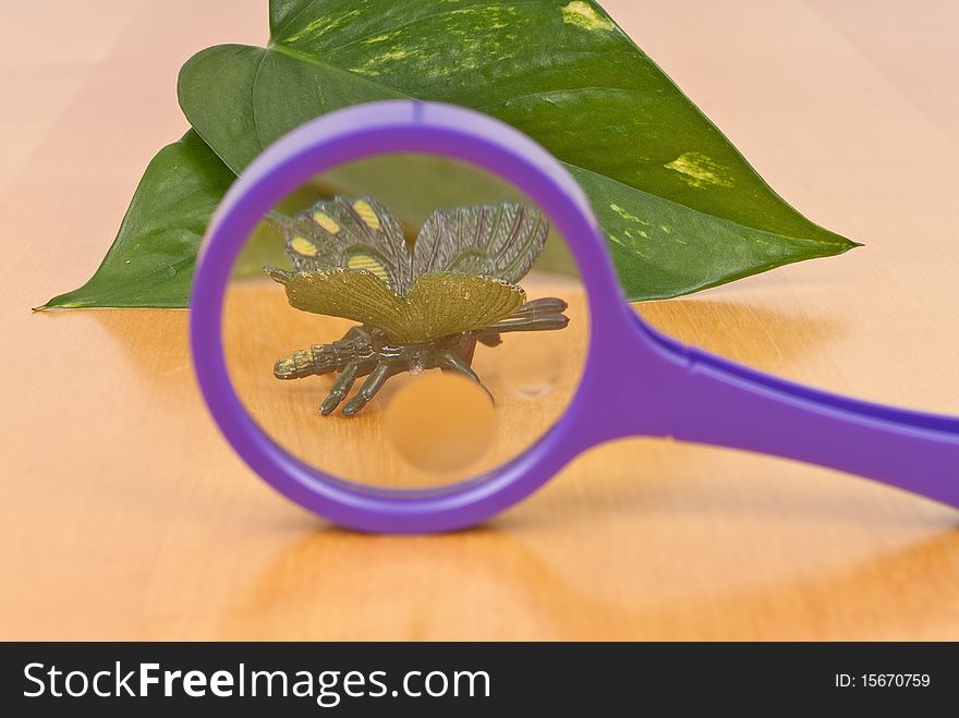 Toy Insect Magnified by Magnifying Glass