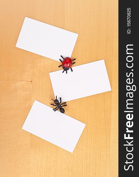 Three Blank Cards with Toy Insects. Three Blank Cards with Toy Insects
