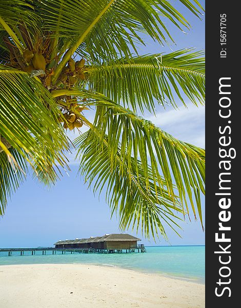 Medhufushi Island Resort is naturally quiet, serene, authentic Maldivian island. Medhufushi Island Resort is naturally quiet, serene, authentic Maldivian island