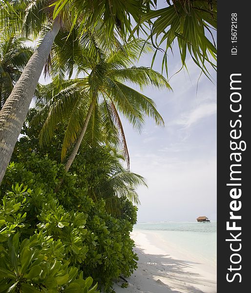 Medhufushi Island Resort is naturally quiet, serene place. Medhufushi Island Resort is naturally quiet, serene place