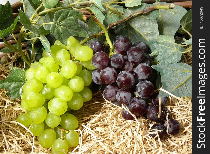 Bunch of grapes in the basket with straw