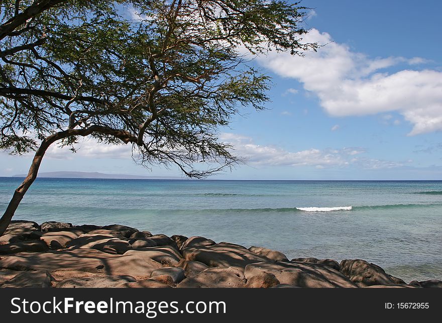 Beautiful Tropical Beach Shoreline Maui Island Hawaii
