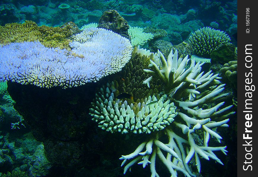 Deep water of Indian ocean, Maldives. Deep water of Indian ocean, Maldives