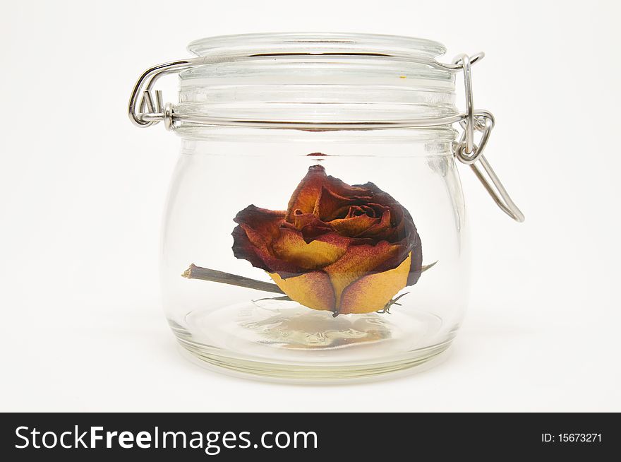 Dry rose in a jar. Dry rose in a jar
