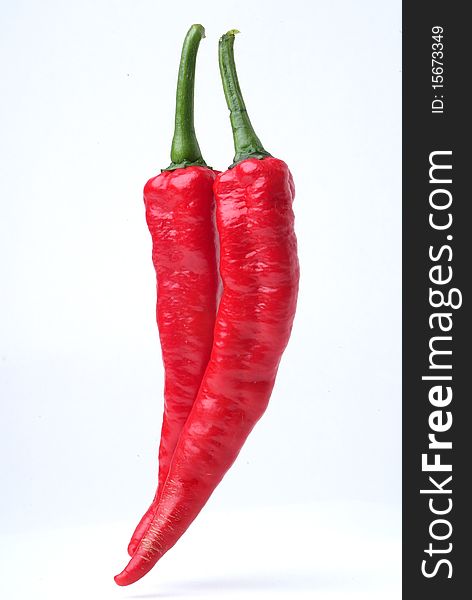 Red hot chili on white background. Red hot chili on white background