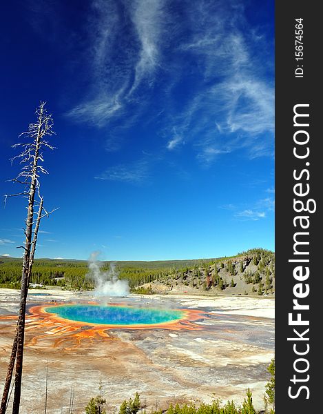 Stunning colors of The Grand Prismatic Spring on a sunny day. Yellowstone National Park