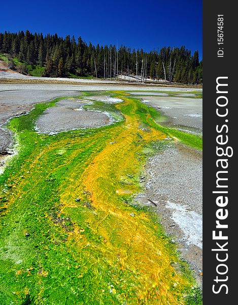 Thermal spring. Yellowstone National Park