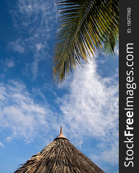 A roof of parasol and coconut tree leaf. A roof of parasol and coconut tree leaf