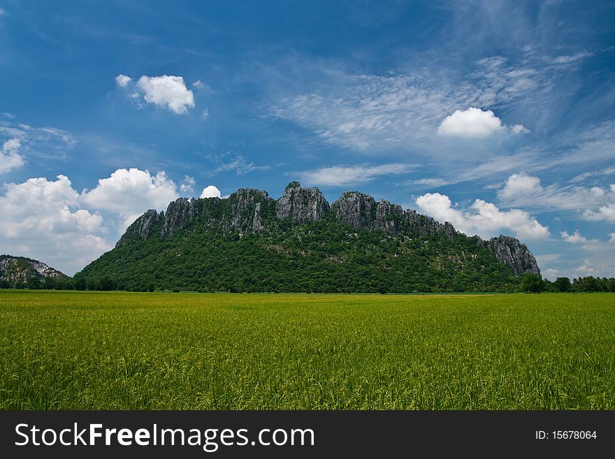 Rice field in north of Thailand