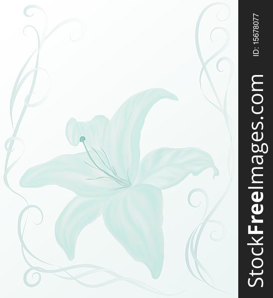 Wedding style frame with tender lily on the light light blue background