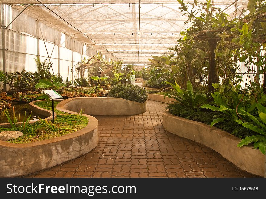 Beautiful garden in glass house. Beautiful garden in glass house