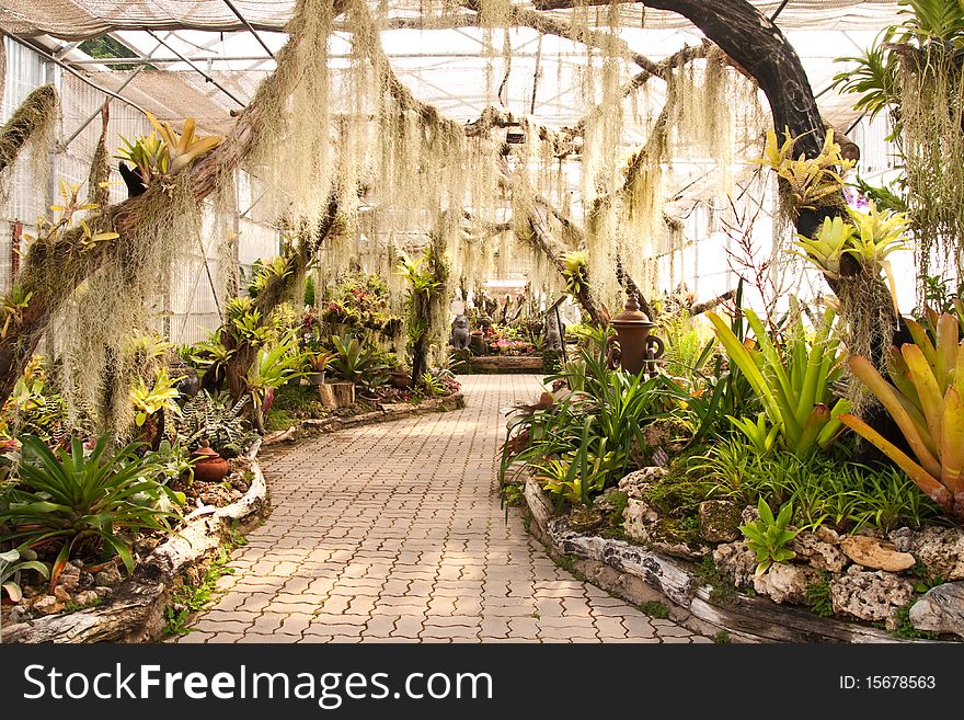 Beautiful garden in glass house. Beautiful garden in glass house