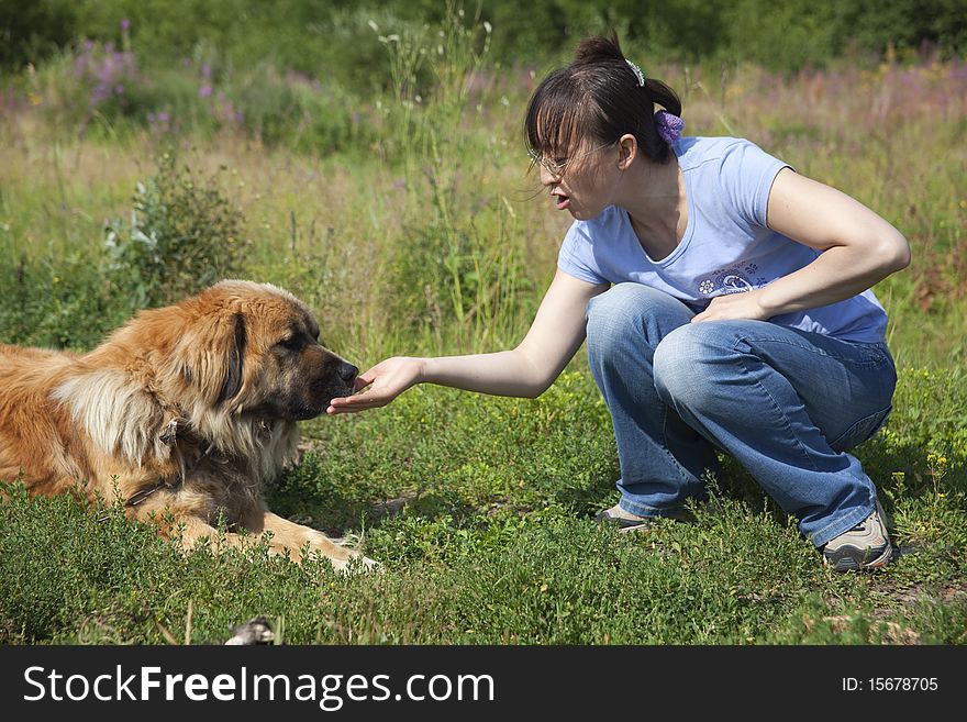 A young Chinese lady feeding the dog. A young Chinese lady feeding the dog