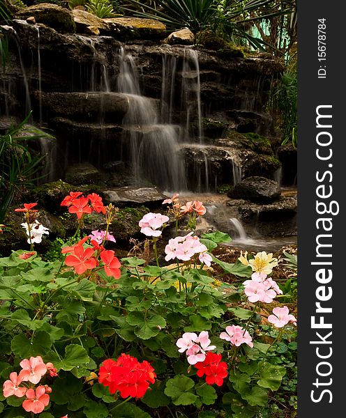 Waterfall and flower