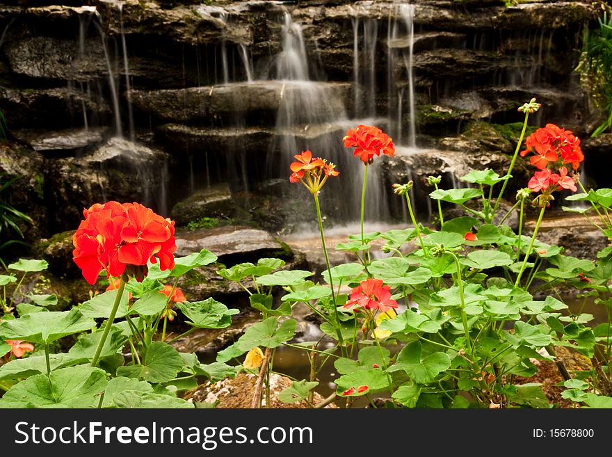 Waterfall And Flower