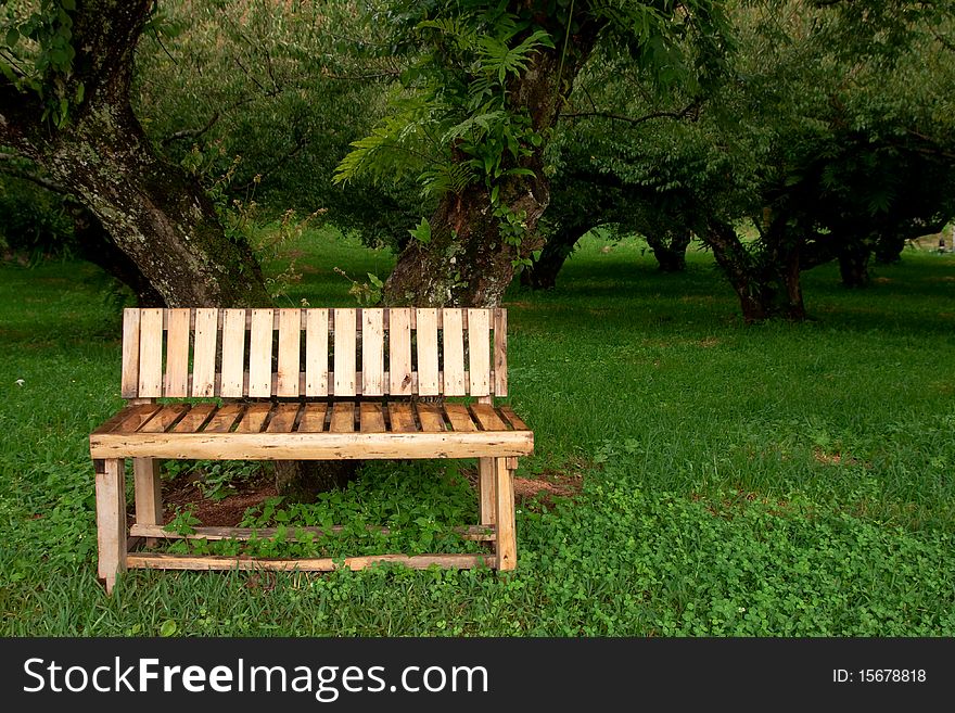 Wood bench in garden