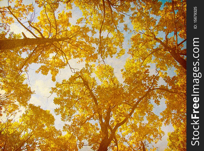 Old paper. retro image of Autumn Trees on the sky background. Old paper. retro image of Autumn Trees on the sky background