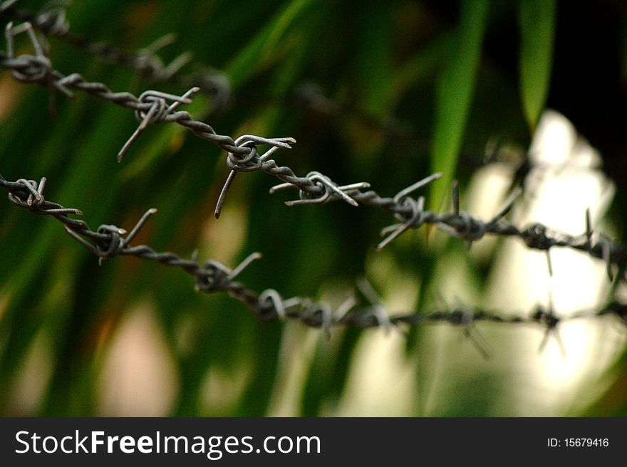 Barbed wire fence. Low depth of field, blurred background.