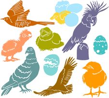 Birds Stock Images Birds Stock Images