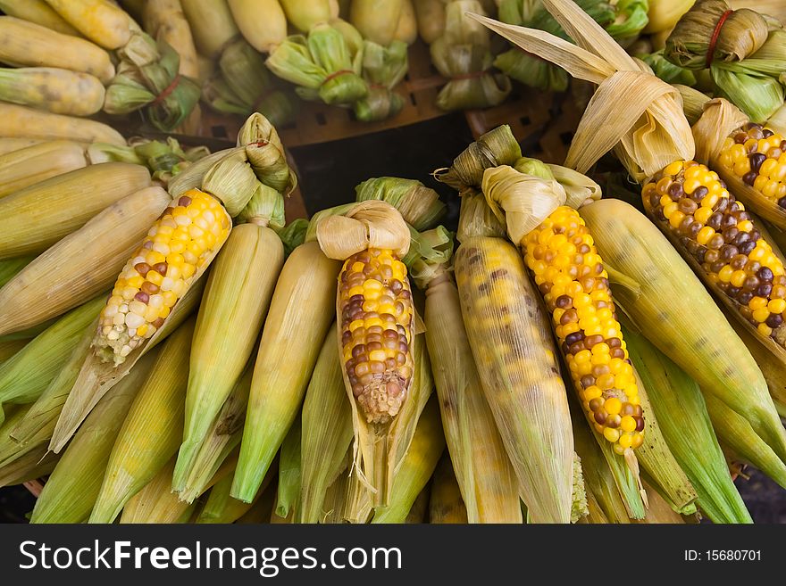 Fresh corn from Thailand for your good health.